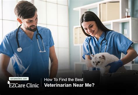 The Best 10 Veterinarians near TN